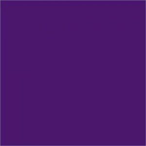 Pentart Matte Acrylic Paint - Purple
