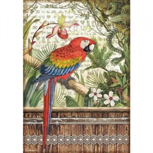 Stamperia A4 Rice Paper - Amazonia - Parrot