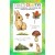 That's Crafty! Clear Stamp Set - Autumn Collection - Set 4