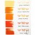 Tim Holtz Distress Spray Stain - Carved Pumpkin