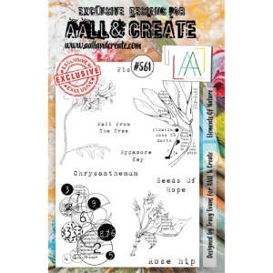 AALL & Create A5 Stamp Set #561 - Elements of Nature