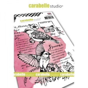 Carabelle Studio Stamp - Field Bird #1 by Jen Bishop - SA60532