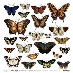 Craft O'Clock  Sheet of Extras - Butterflies