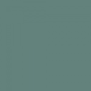 Pentart Antiquing Paint - Cream Green - 29734