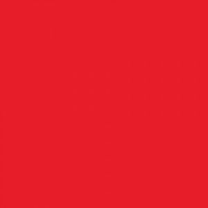 Pentart Batik Fabric Paint - Red - 43241