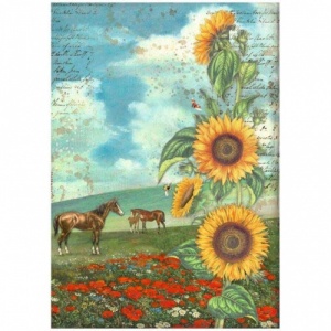 Stamperia A4 Rice Paper - Sunflower Art - Horses - DFSA4767