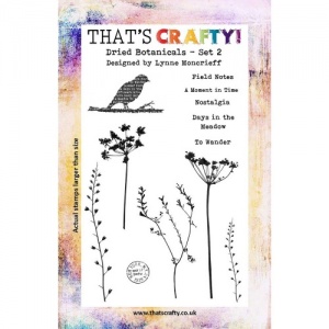That's Crafty! A5 Clear Stamp Set - Dried Botanicals - Set 2