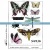 Katzelkraft Unmounted Rubber Stamp Set - Metamorphosis Papillons - KTZ283