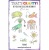That's Crafty! Clear Stamp Set - Deep Sea Divas Collection - Katrina