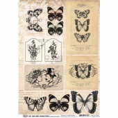 13 Arts A4 Paper Sheet - His and Hers Remastered - Elements Butterflies