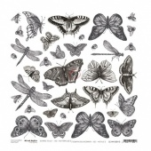 Craft O'Clock  Sheet of Extras - Butterflies ll