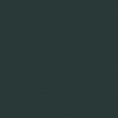 Pentart Antiquing Paint - Alga Green - 29733