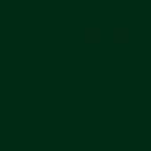 Pentart Dekor Paint Chalky Vivid - Pine Green