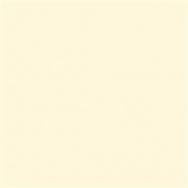 Pentart Matte Acrylic Paint - Ivory