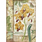 Stamperia A4 Rice Paper - Amazonia - Orchid