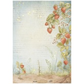 Stamperia A4 Rice Paper - Hidden Grove - Strawberries - DFSA41014