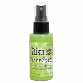 Tim Holtz Distress Oxide Spray - Twisted Citron